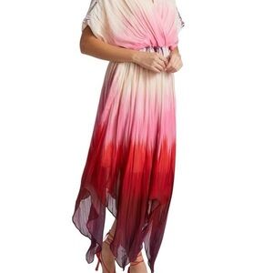 $698 AMUR Jesse Ombré Dolman Sleeve Pink and Red High Low Dress Sz 6 $698